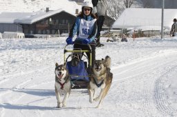 Lenk 2012 SM
